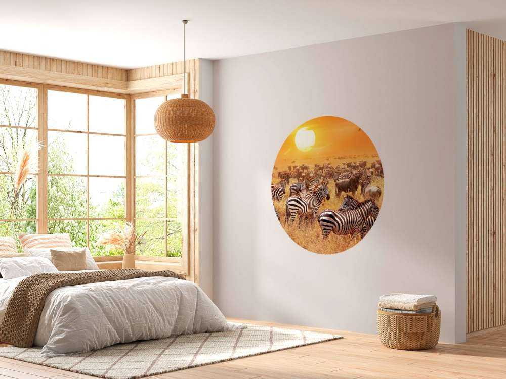 Savanne zon met zebra's