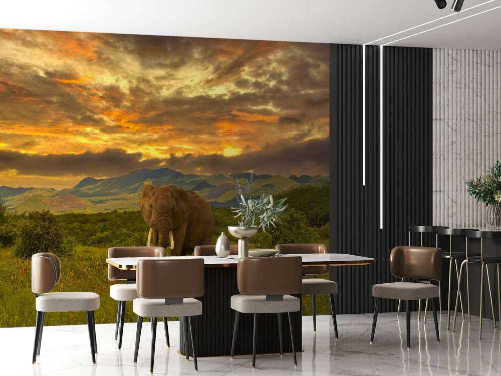 Olifant in Kenia bij zonsondergang