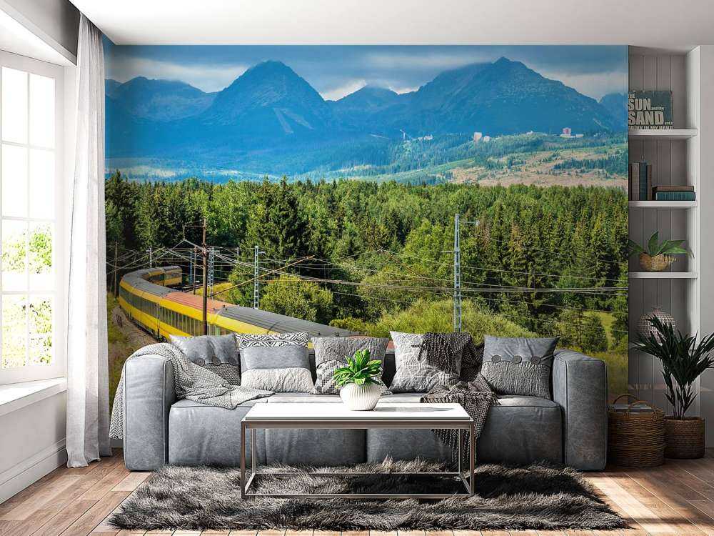 Trein door een bos in Slowakije