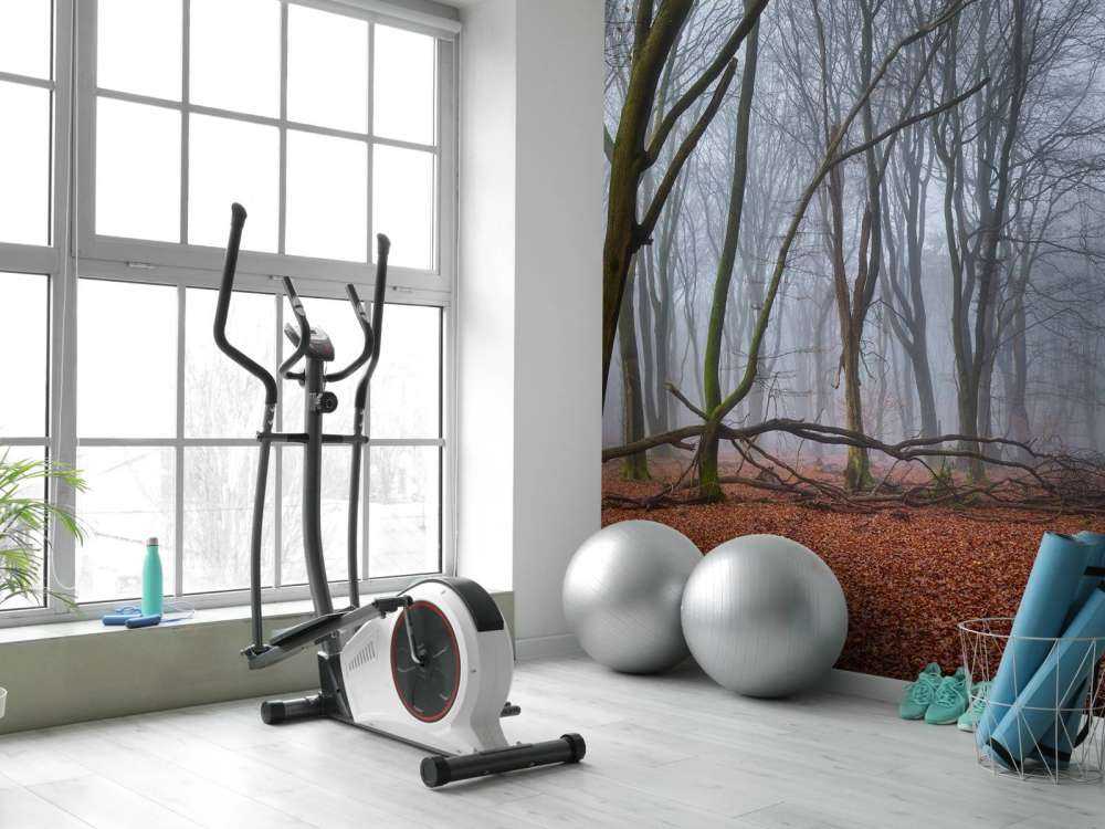 Mysterieus mistig bos