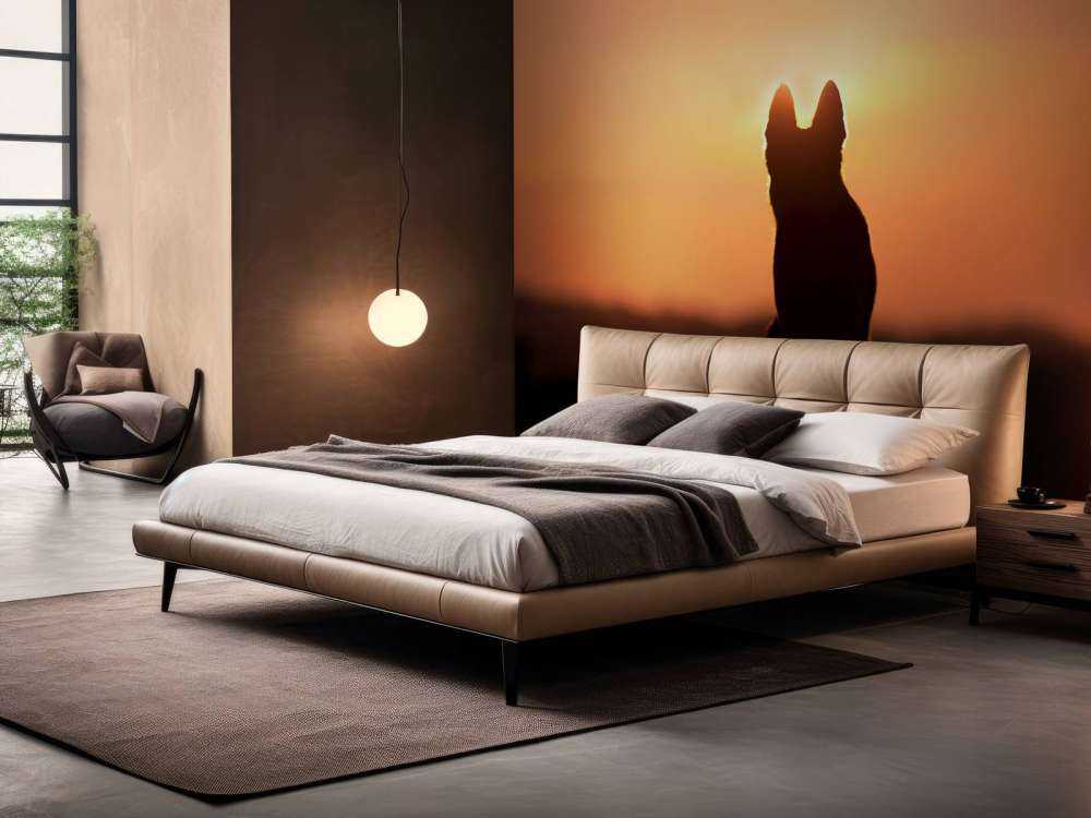 Hond bij zonsondergang