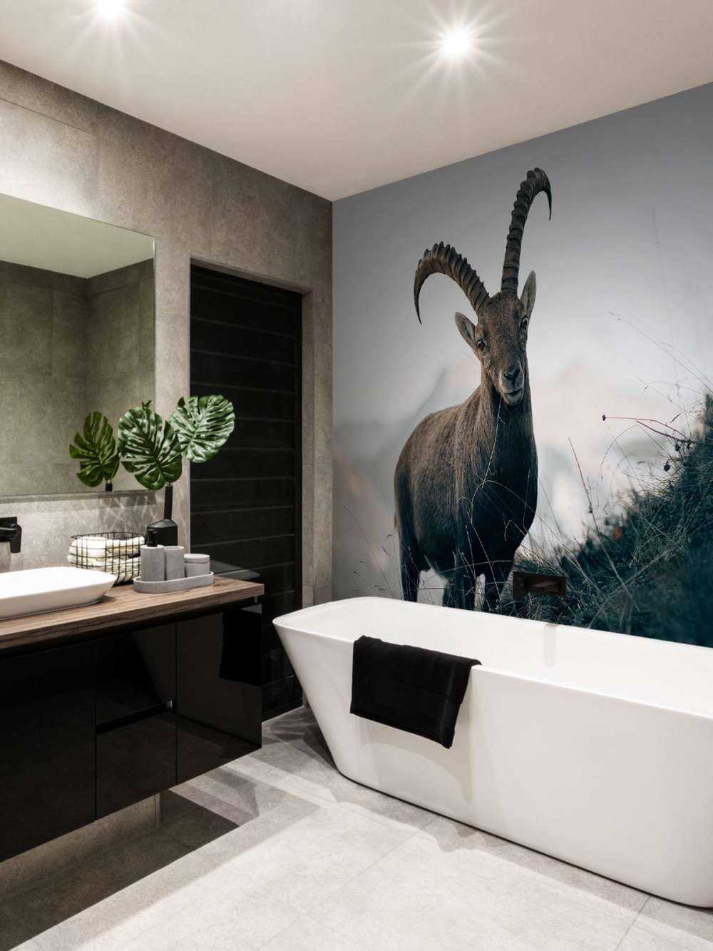 Steenbok in de bergen