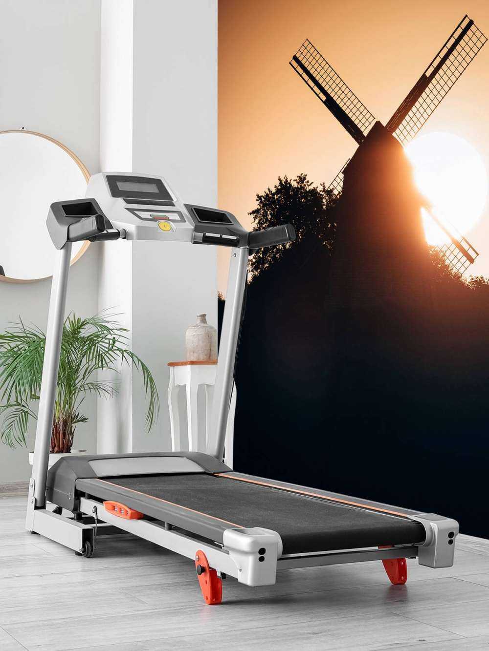 Zonsopkomst tijdens de zomer