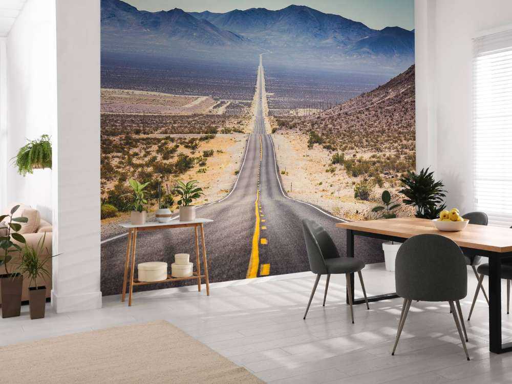 Weg door een Amerikaanse woestijn