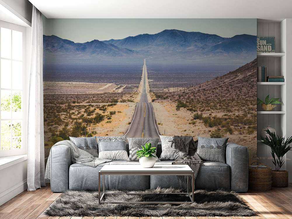 Weg door een Amerikaanse woestijn