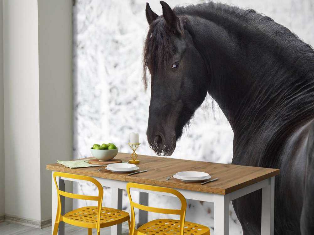 Fries Paard in de sneeuw