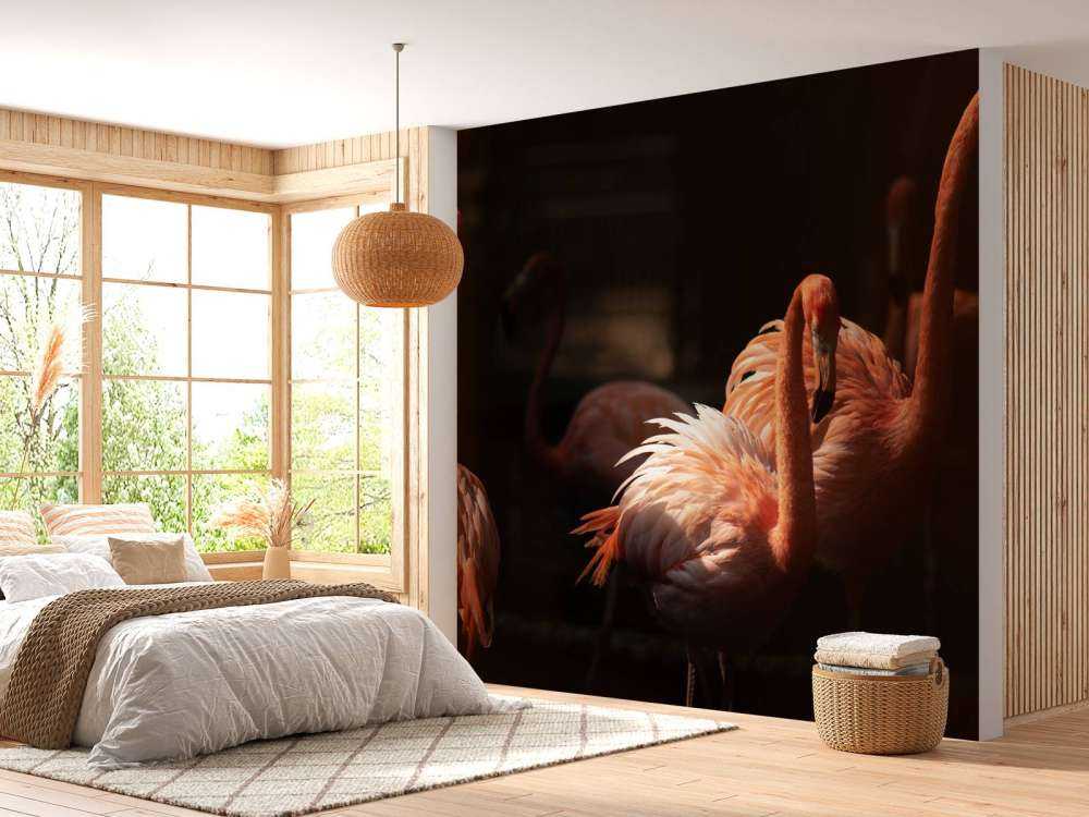 Flamingo's met een donkere achtergrond