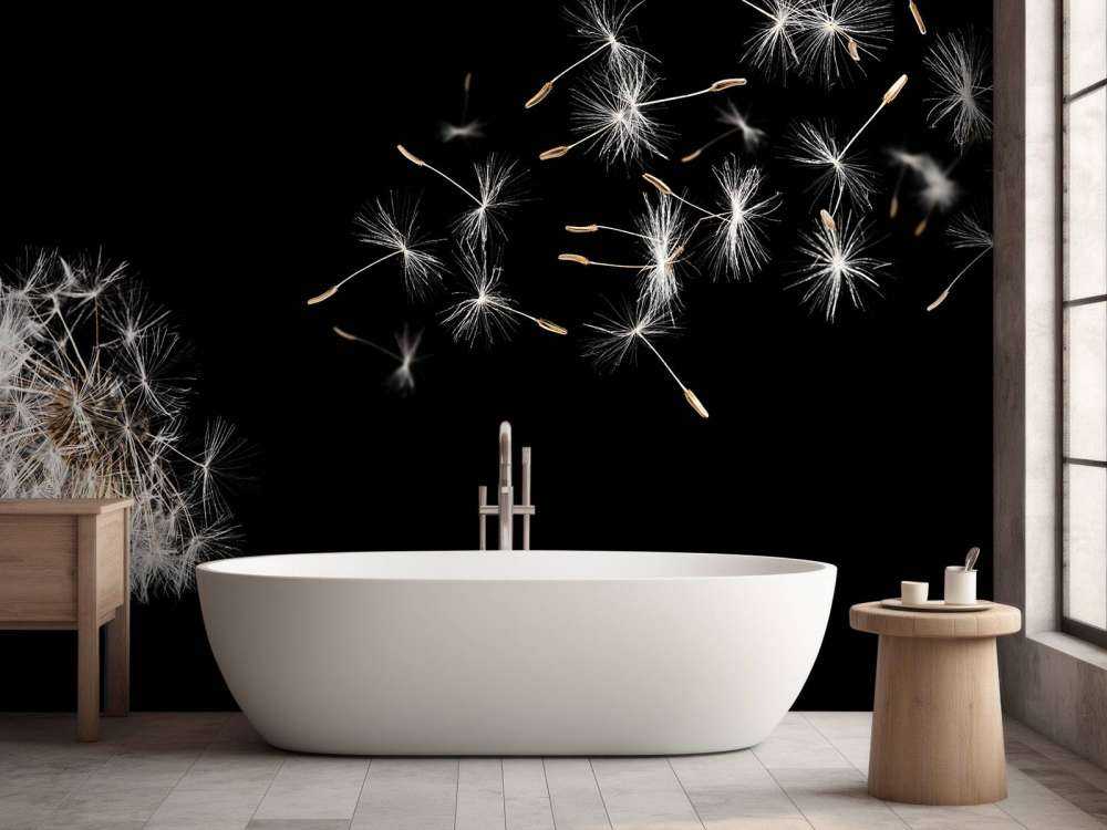 Paardebloem met een zwarte achtergrond