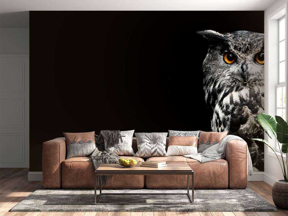 Uil in de duisternis