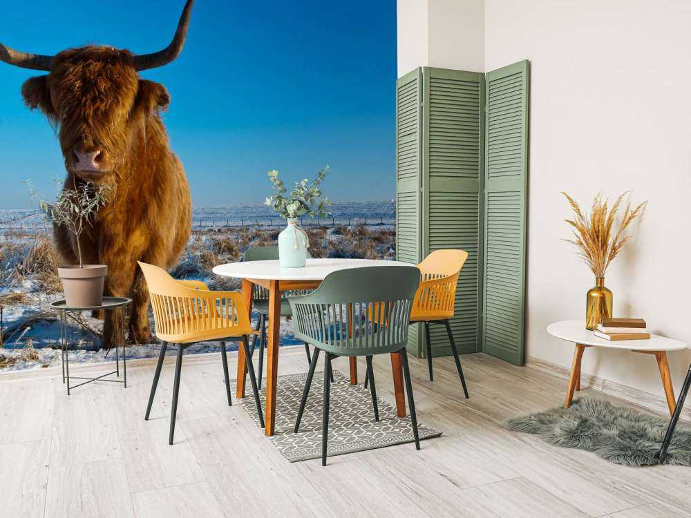 Schotse Hooglander met een blauwe lucht