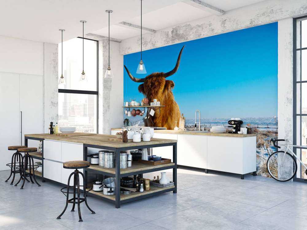 Schotse Hooglander met een blauwe lucht