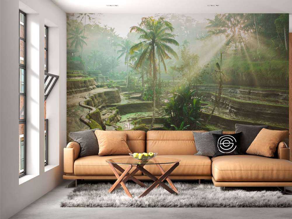 Rijstvelden in de jungle