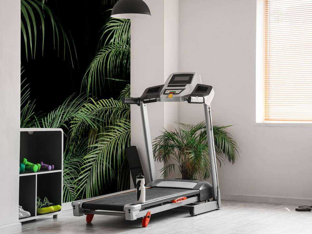 Plant met groene bladeren