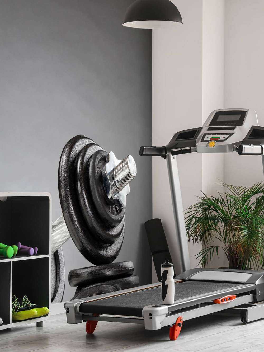 Dumbell met zwarte schijven