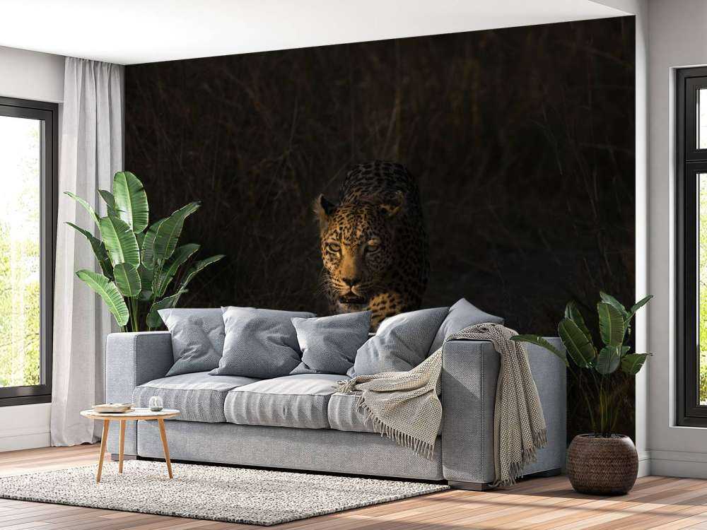 Luipaard met zonsondergang