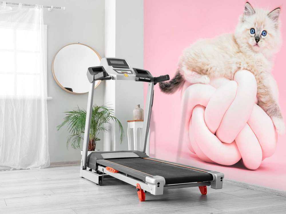 Witte poes op roze achtergrond