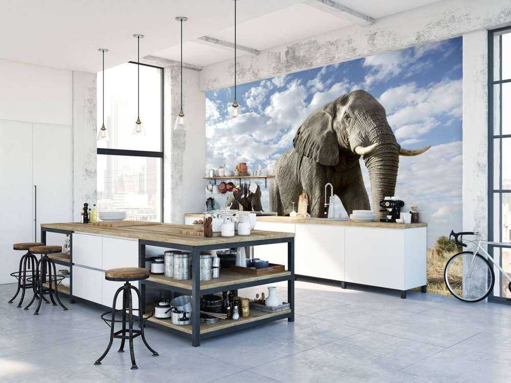 Passerende olifanten