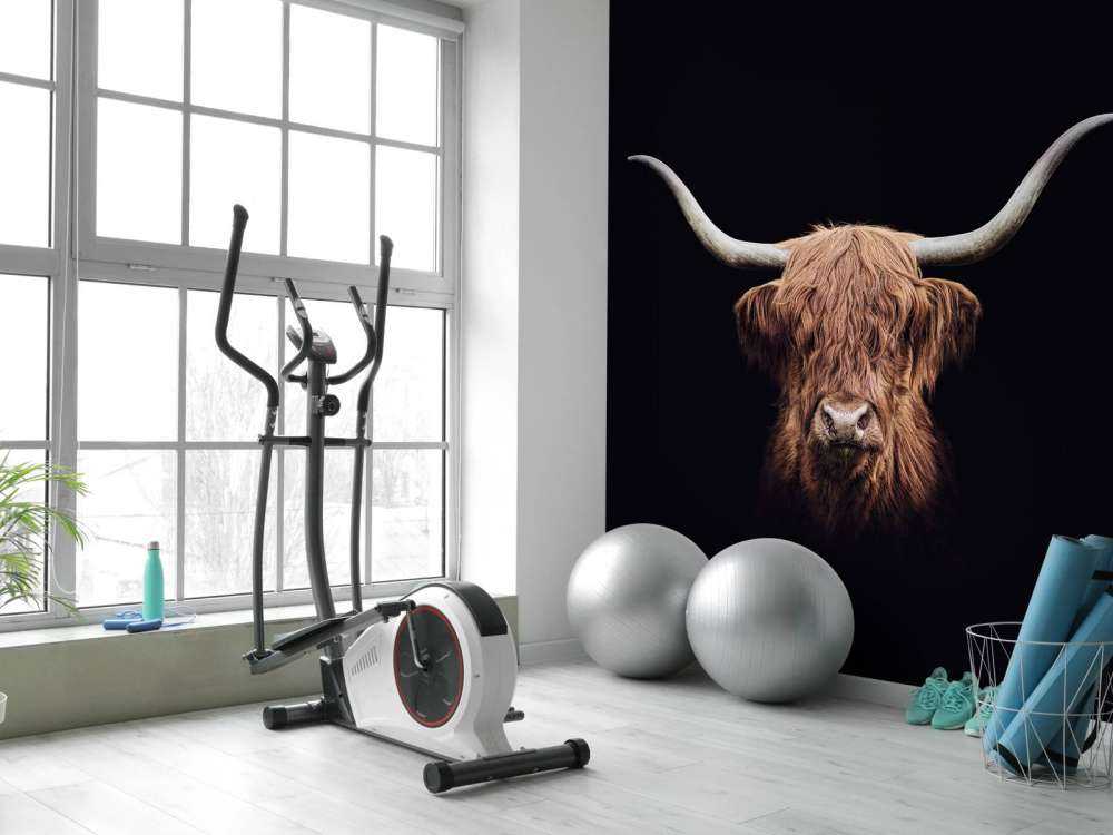 Vintage Schotse hooglander