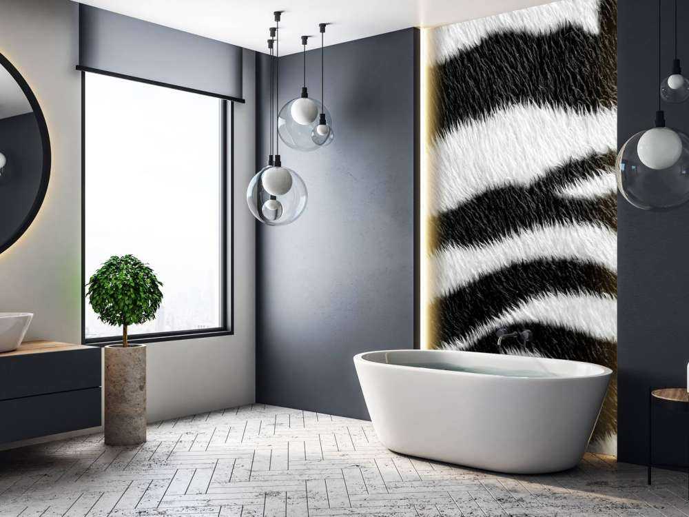 Close-up zebra vacht