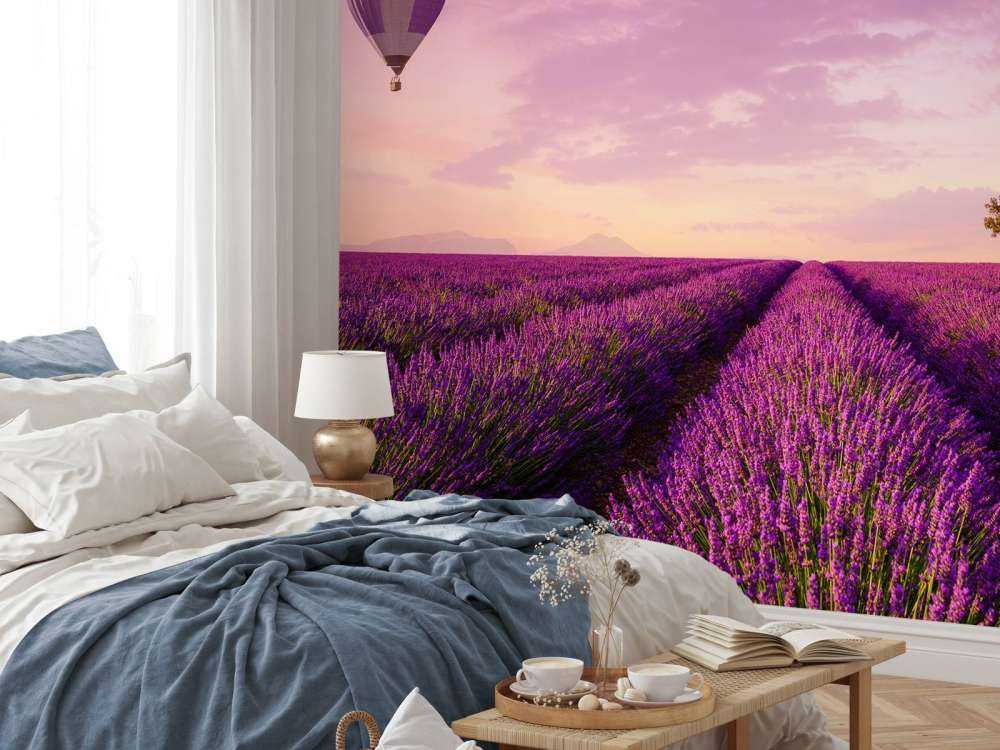 Lavendel veld en luchtballon