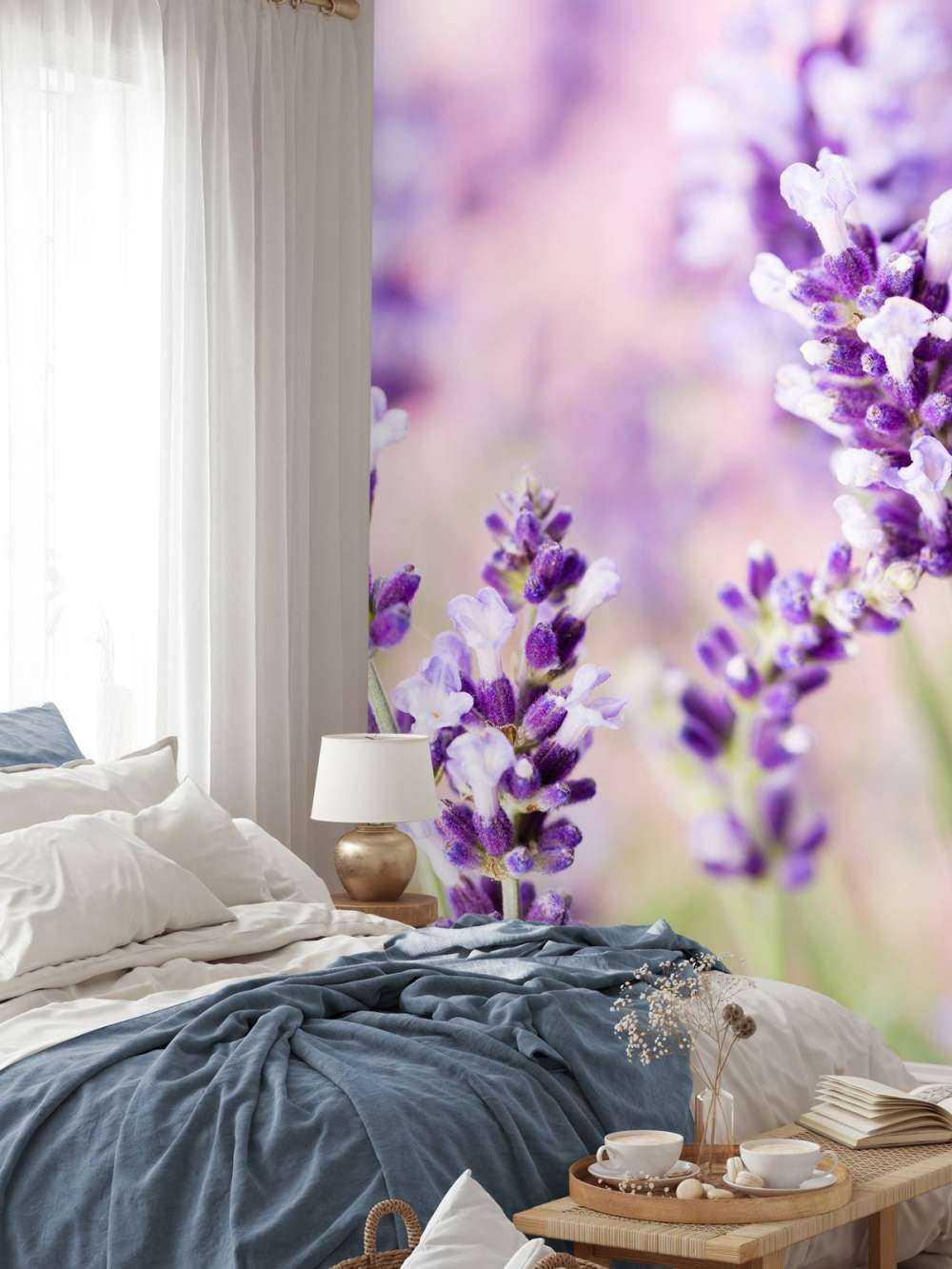 Lavendel bloem