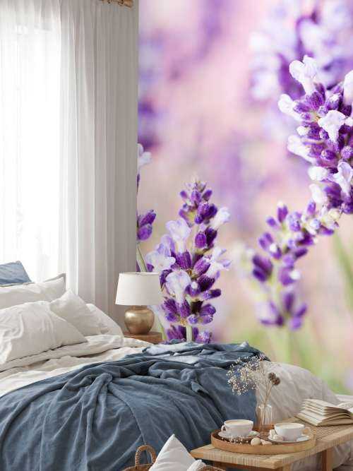 Lavendel bloem