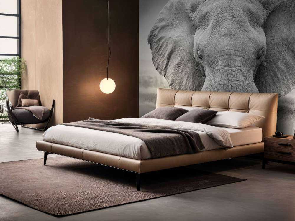 Olifant zwart-wit