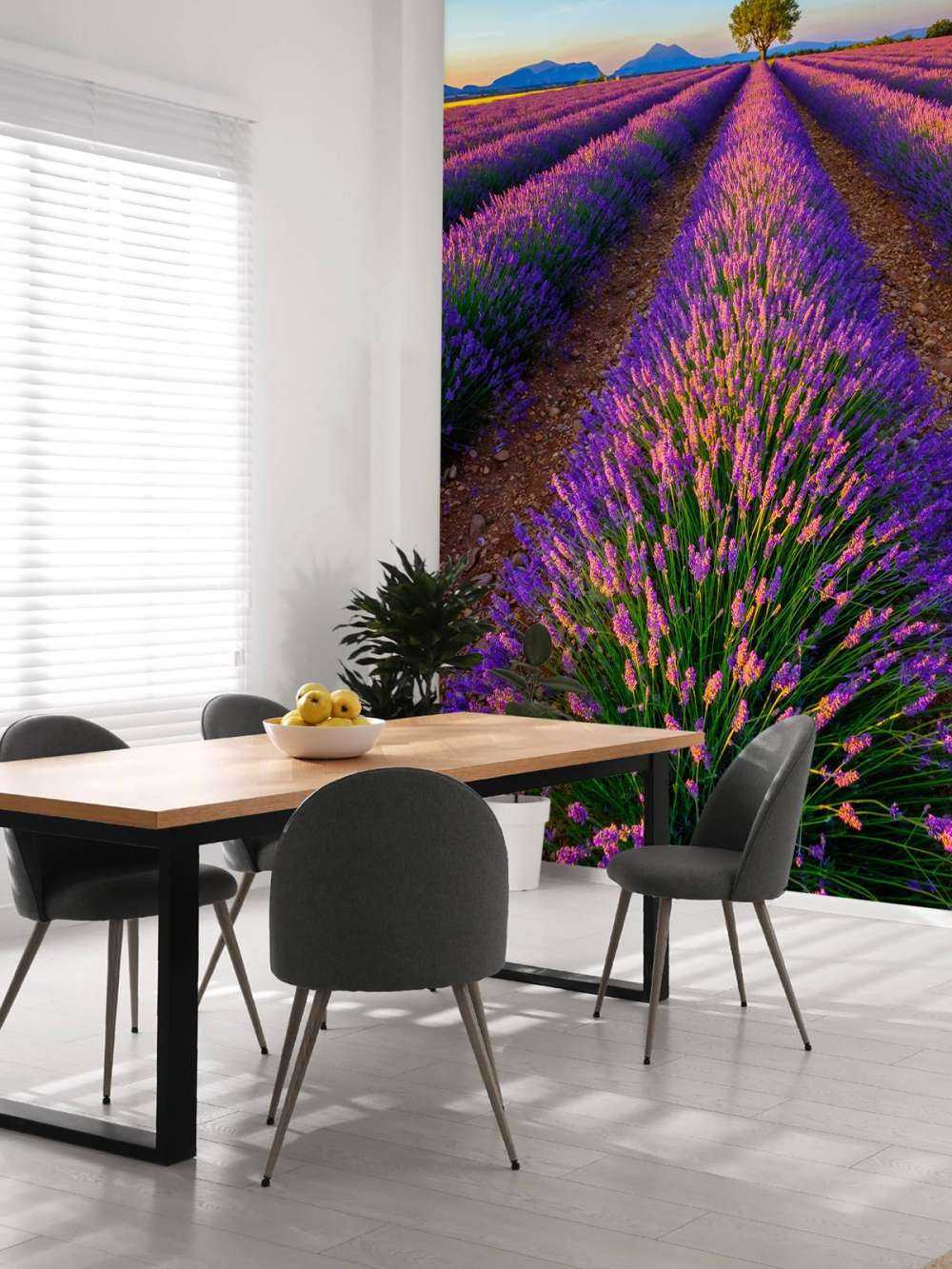 Lavendel bij zonlicht