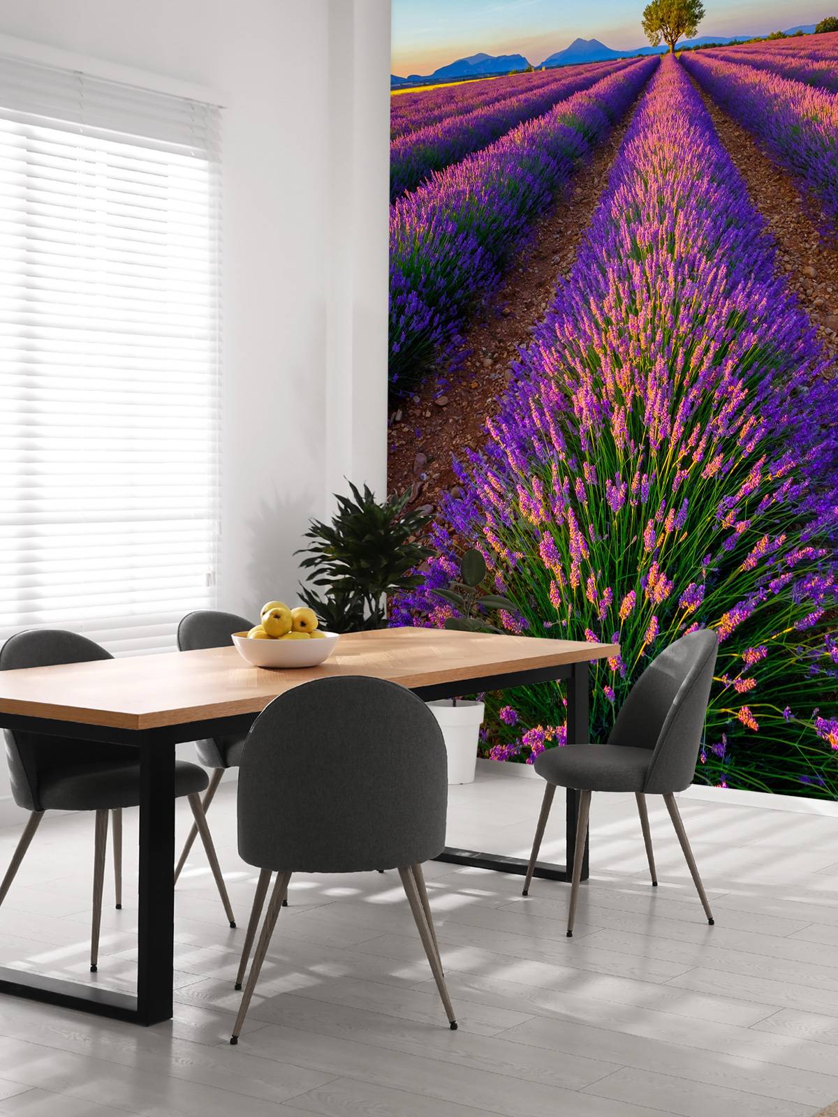 Lavendel bij zonlicht