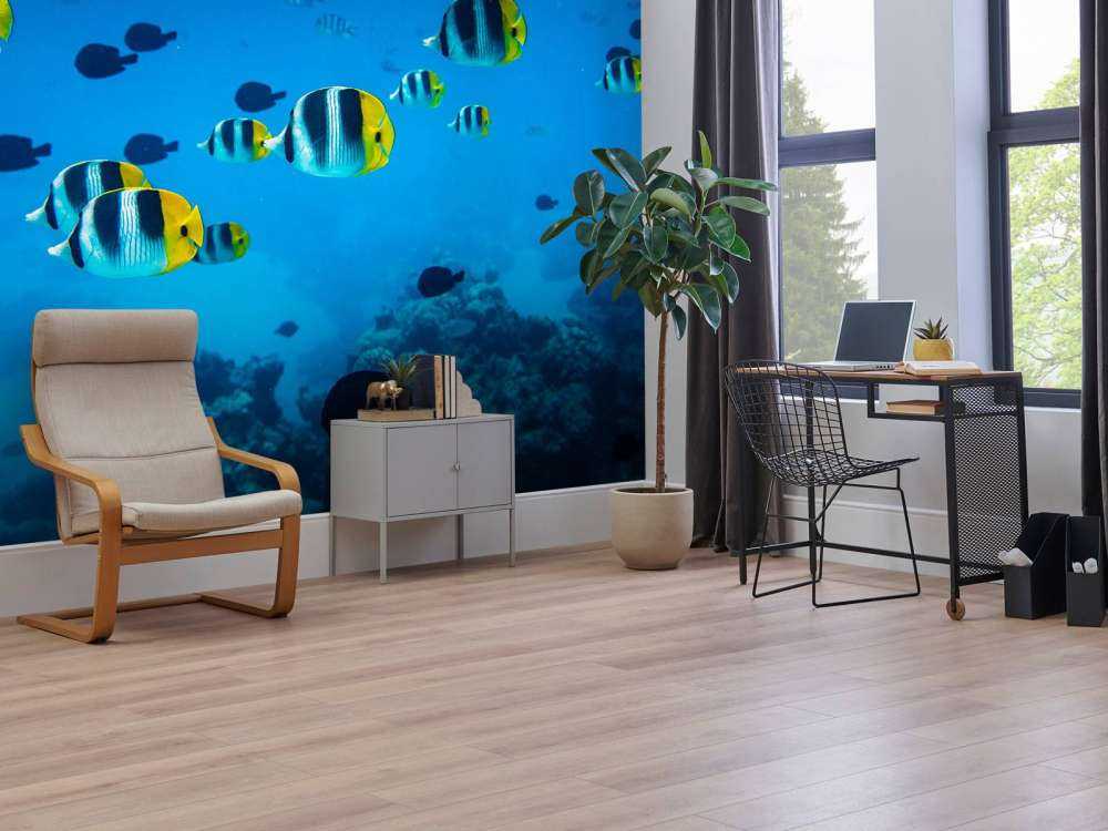 Tropische rifvissen in helderblauw water