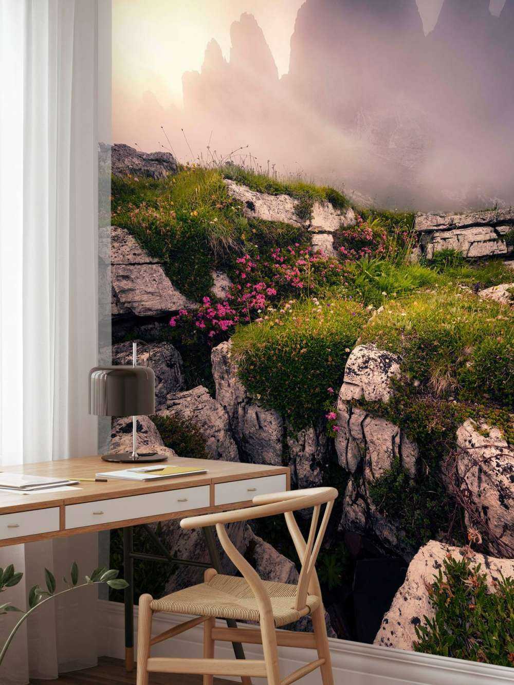 Nevelige Bergtoppen en Alpenbloemen