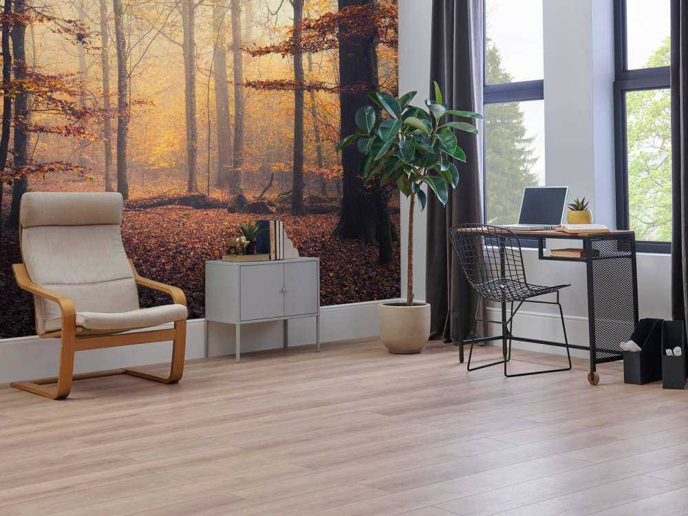 Herfstbos in Gouden Mist