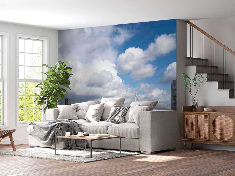 Stadszicht met Erasmusbrug