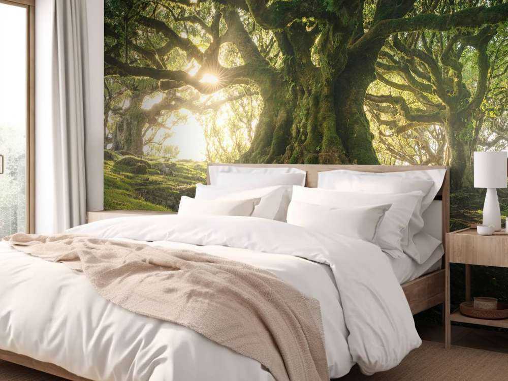 Betoverd Woud in Zonlicht