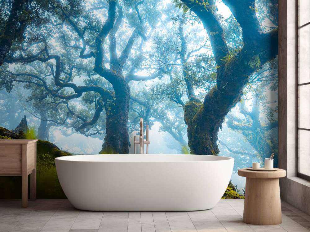 Sprookjesbos in ochtendmist