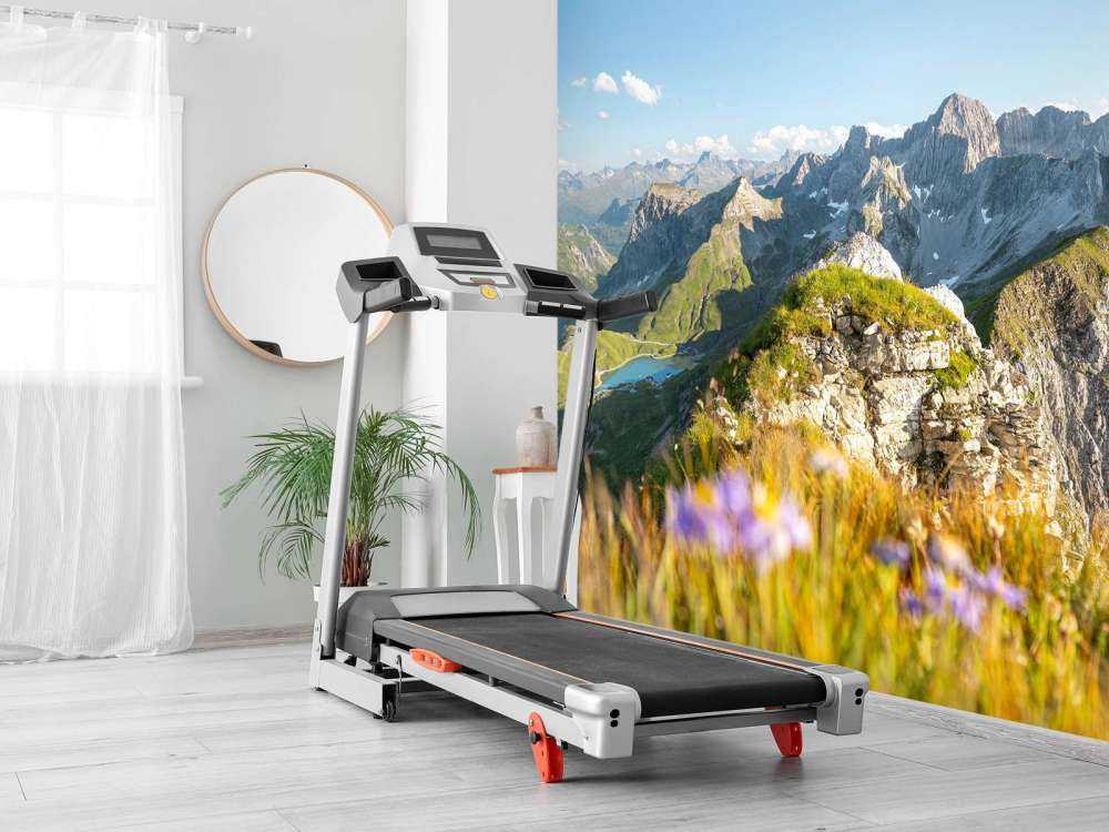 Zomerse alpentoppen met bloemen