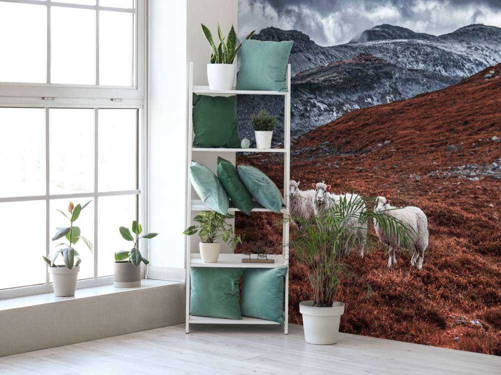 Schapen in roestkleurige bergen