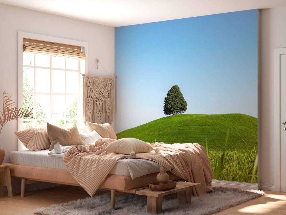 Eenzame boom op groene heuvel