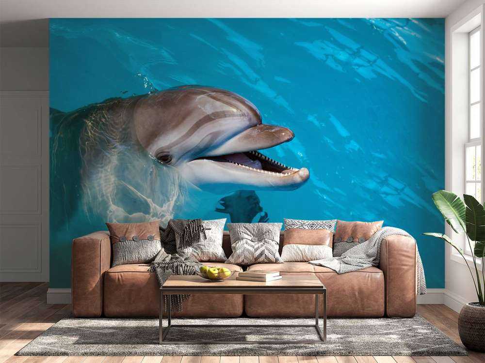 Vriendelijke dolfijn