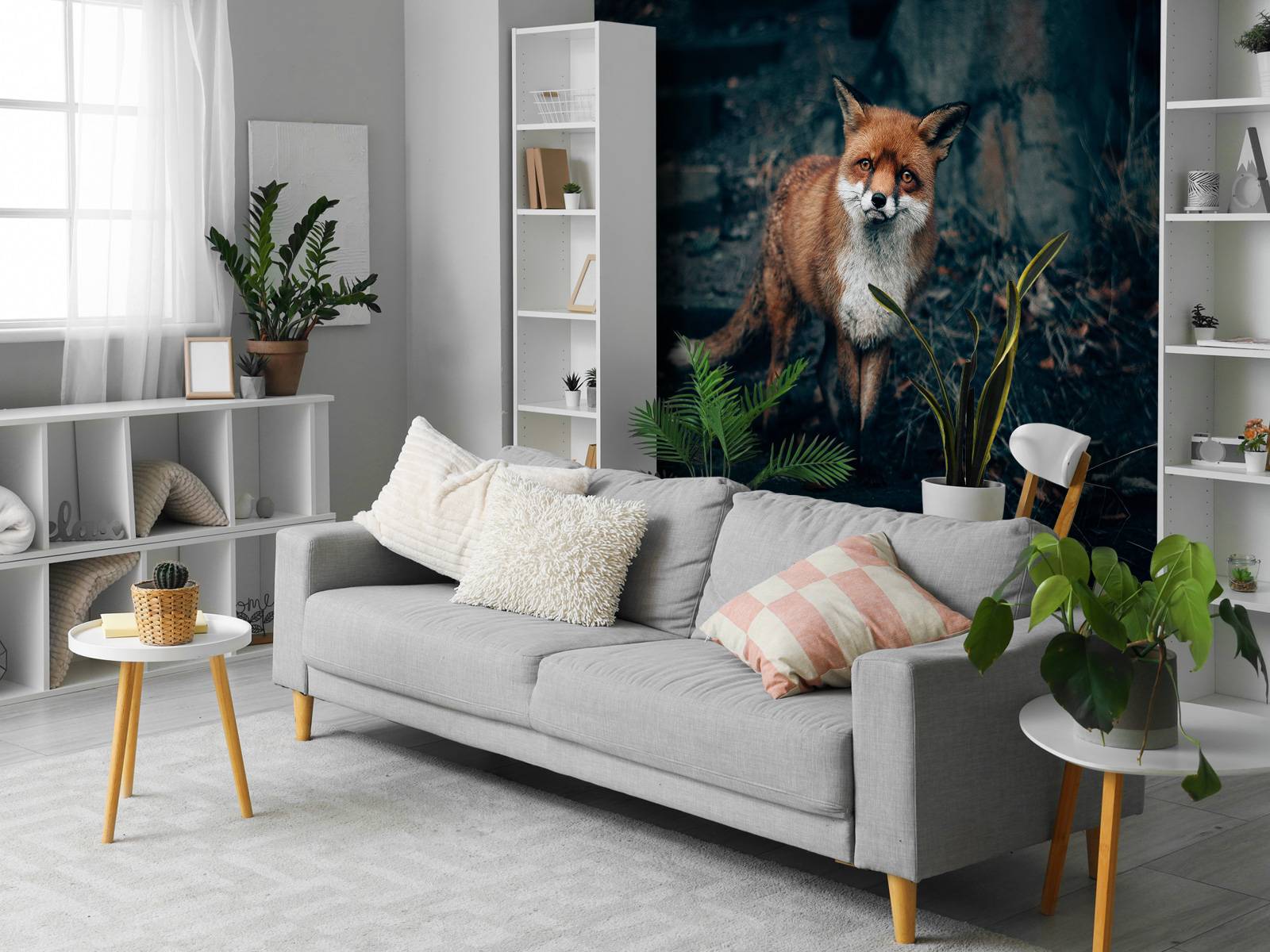 Nieuwsgierige vos - Fotobehang, image size:1600x1200