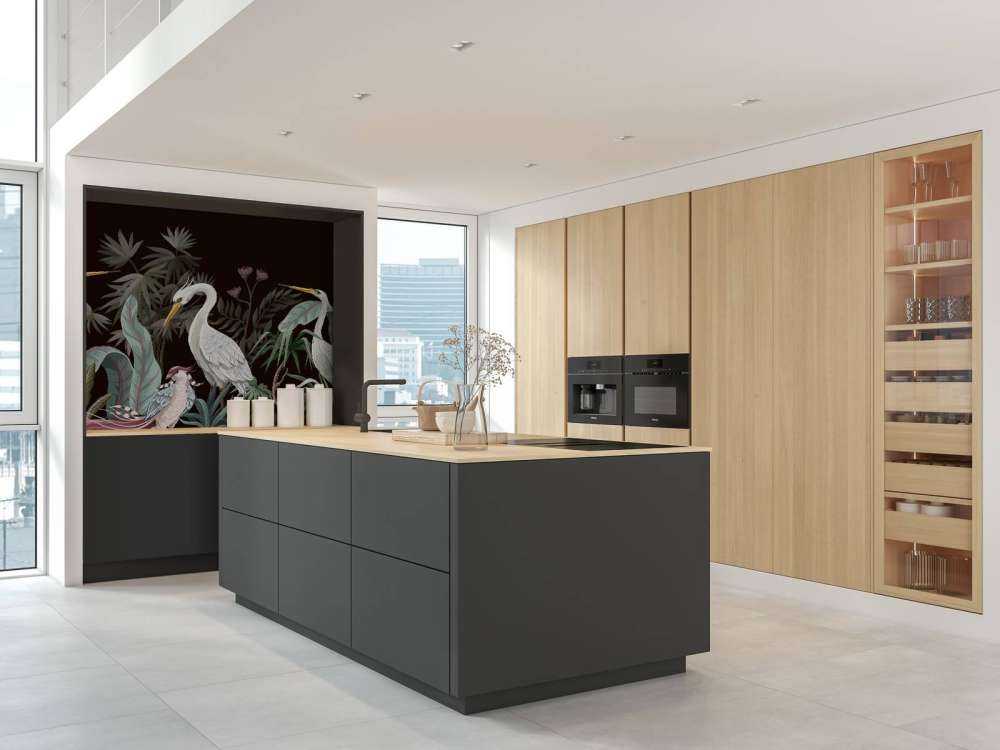 Sierlijke kraanvogels