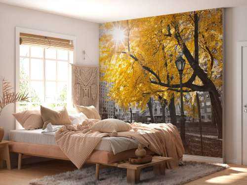 Een pad door Central park