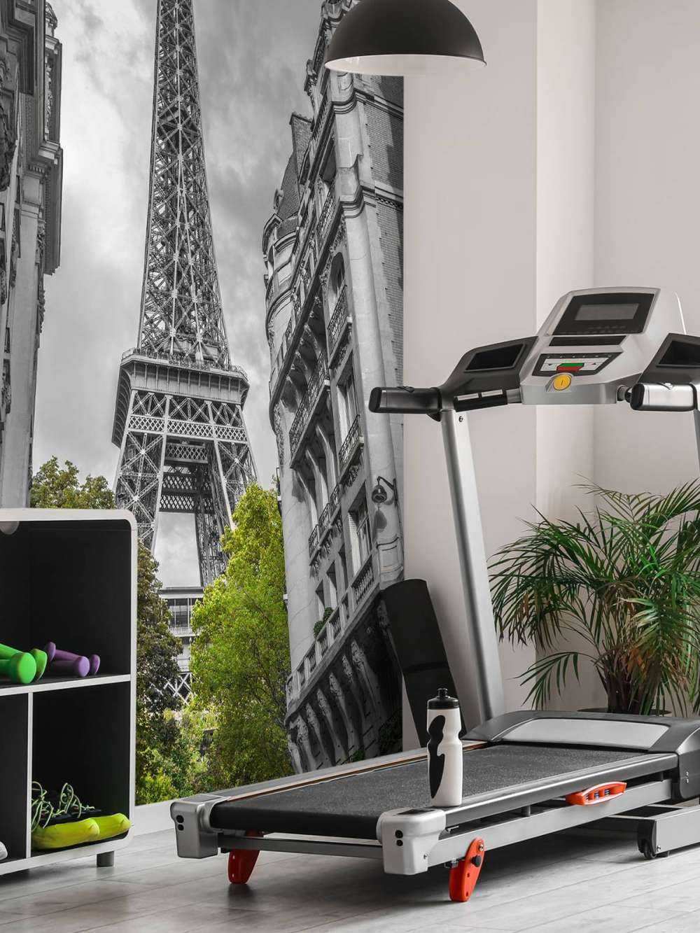 Eiffeltoren zwart-wit