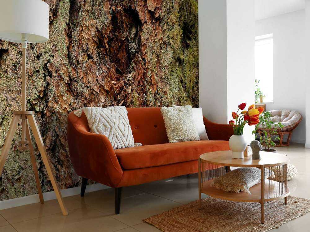 Boomschors oude boom