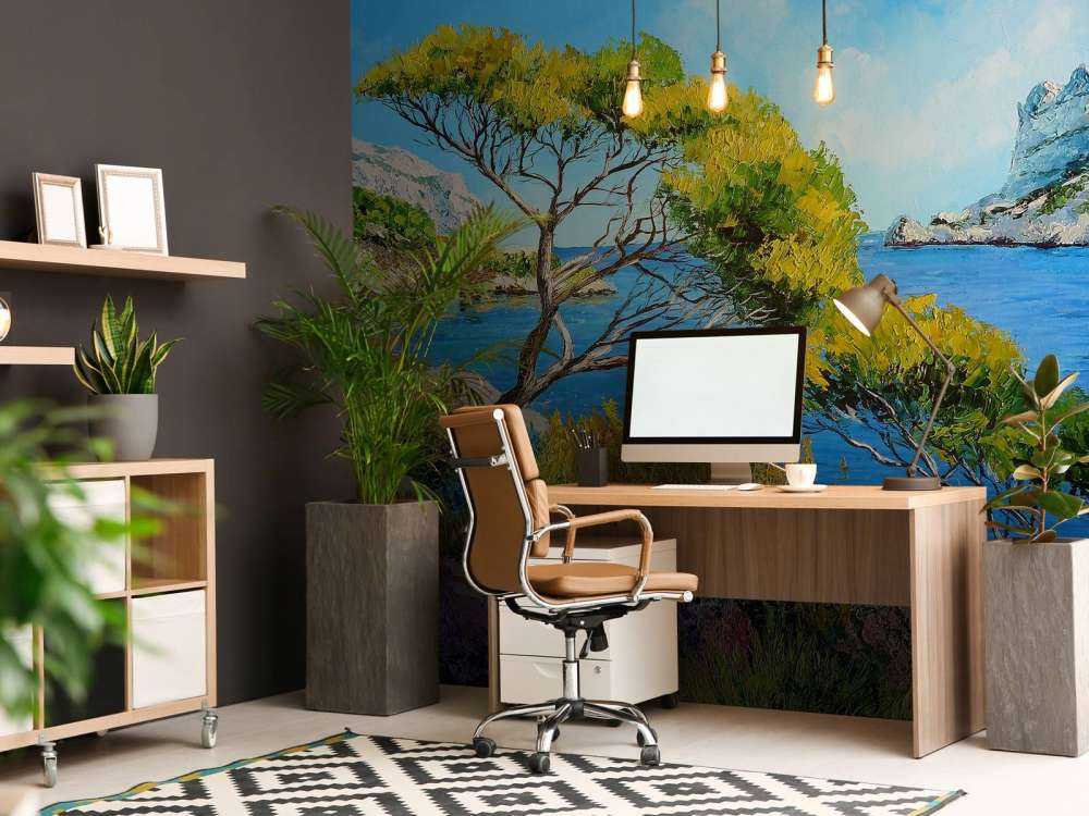 Sail in the Sormiou's cove