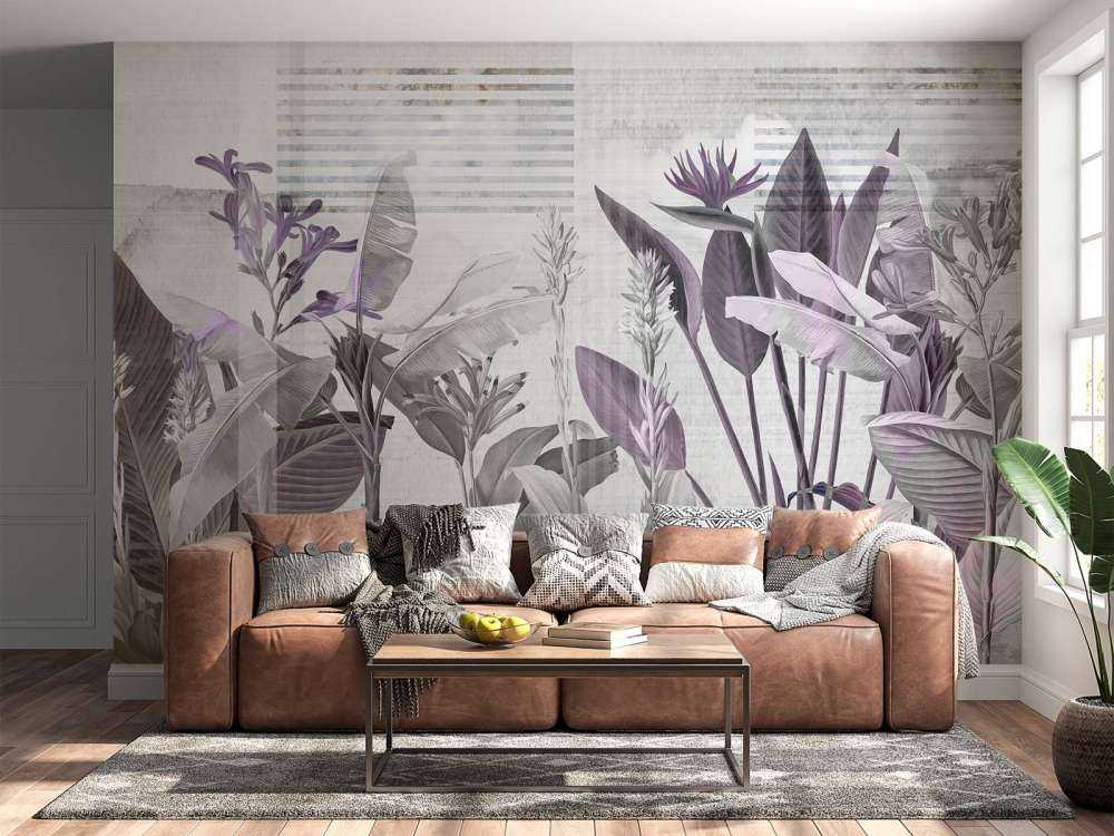 Dreams and Tropics 5