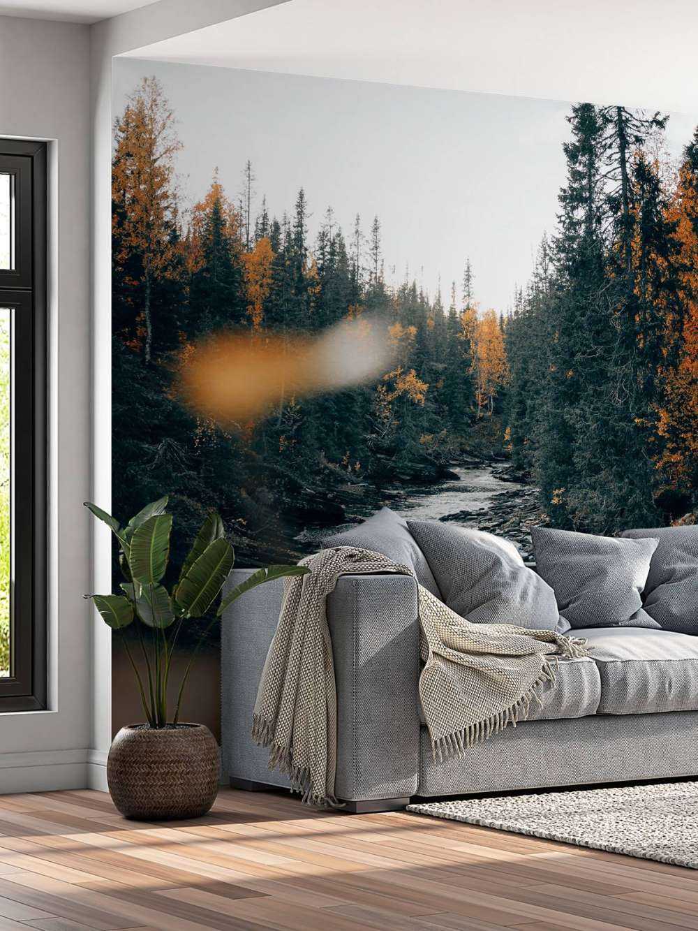 Betoverend herfstbos