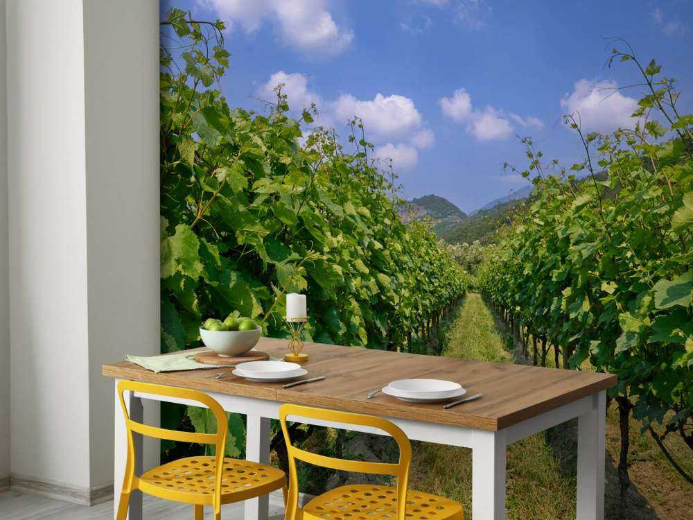 Wijngaard in Italië