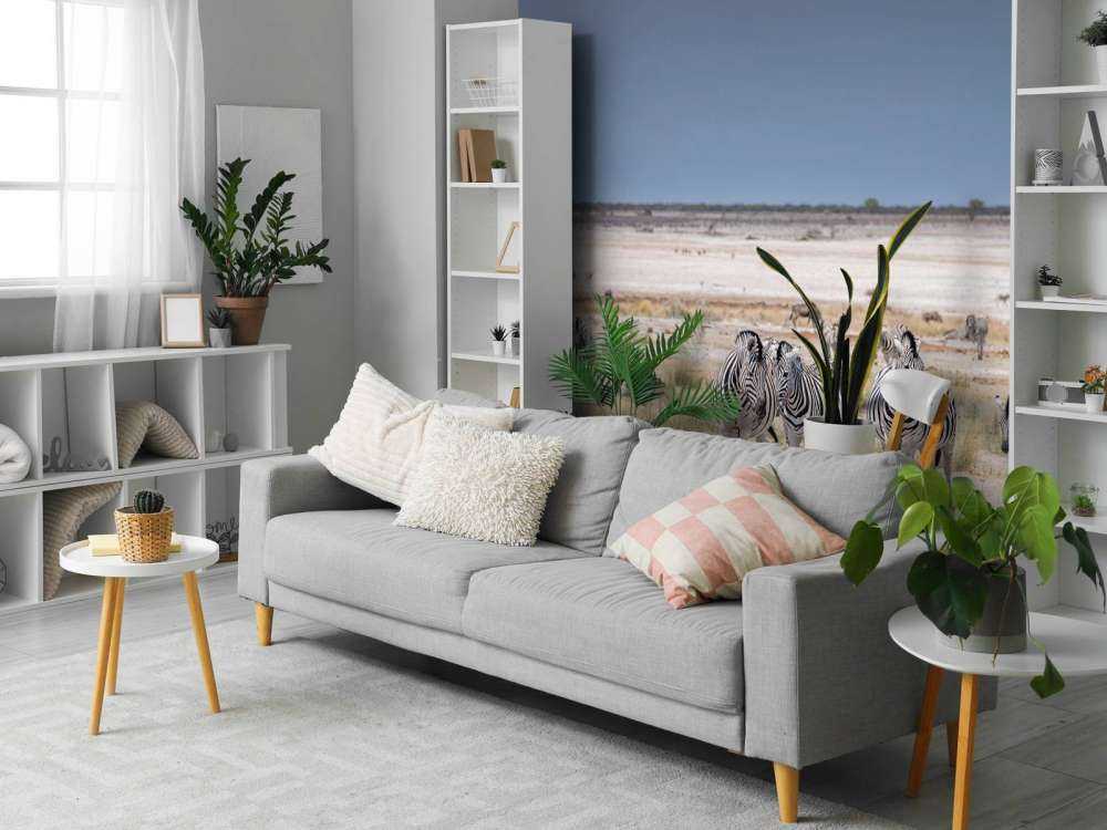 Landschap met zebra's