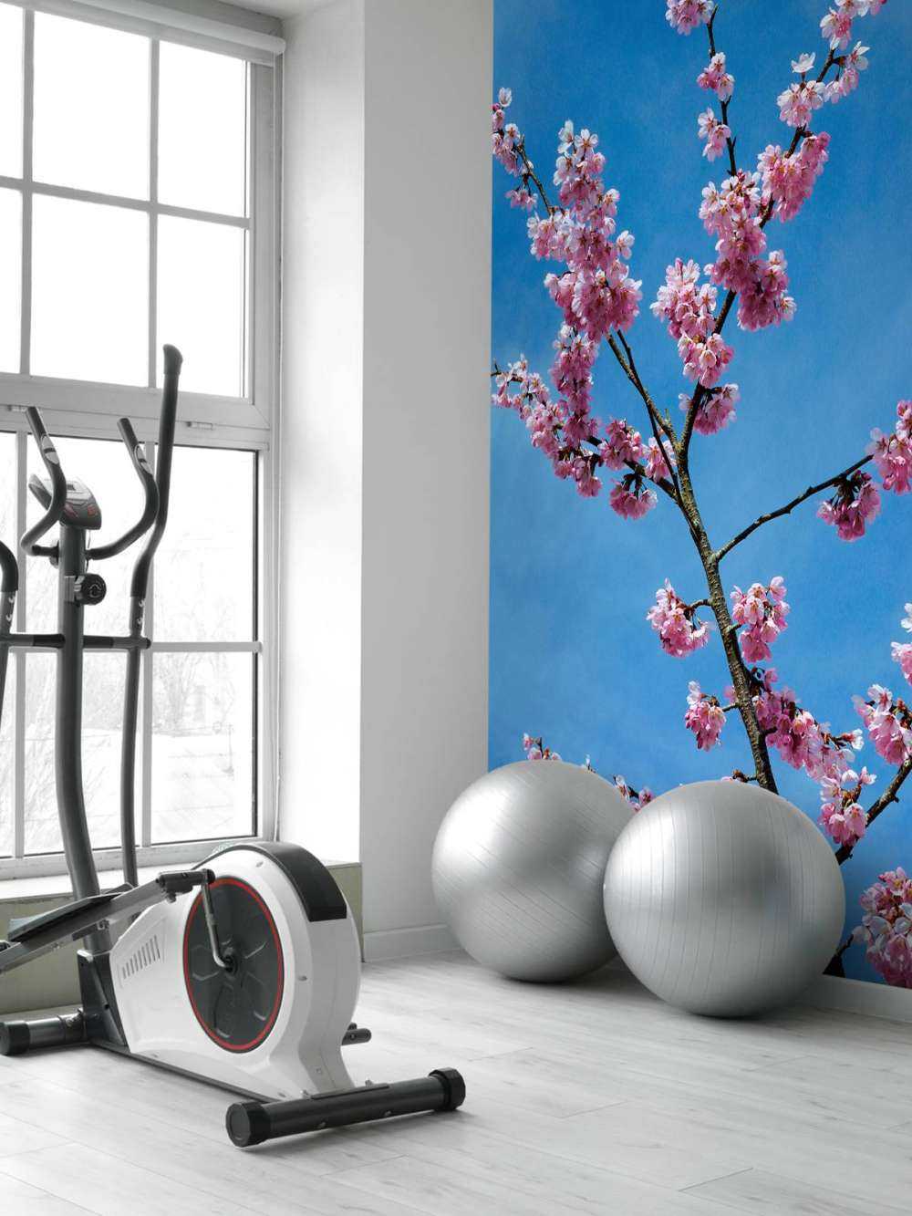 Japanse roze bloesems